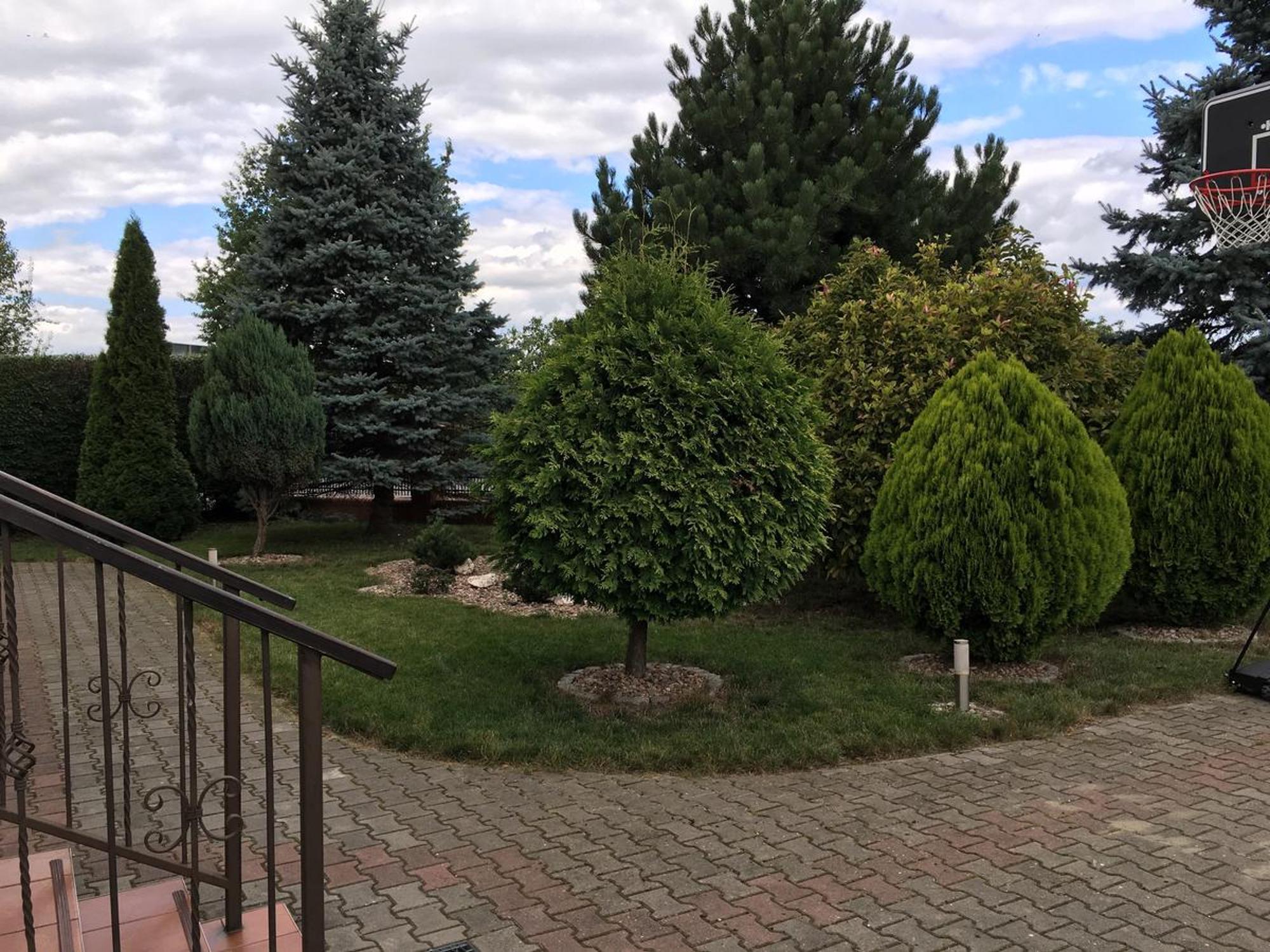 Apartament Zakatek Wroclawia Bielany Wrocławskie 外观 照片